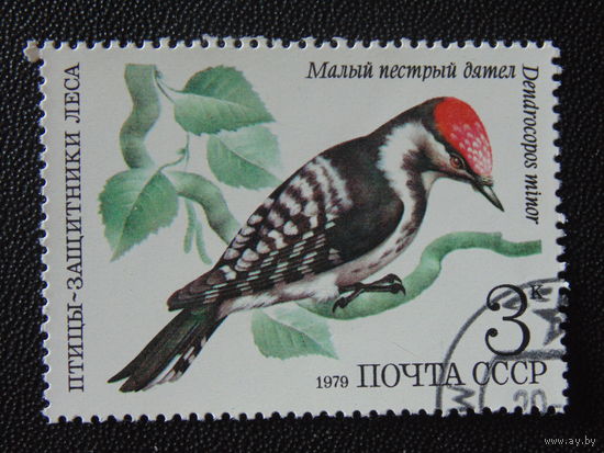 СССР 1979 г. Птицы.