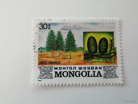 Монголия 1982. Деревья Монголии.