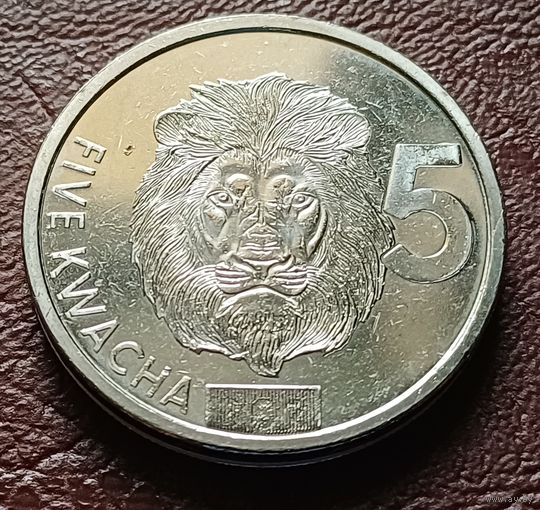 Замбия 5 квач, 2024    ( 2-9-7 )