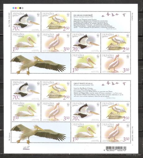 ФФ3 Украина 2007 Птицы