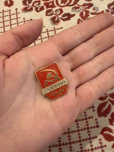 Дружинник ЗНАЧОК С РУБЛЯ