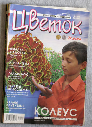 Цветок номер 6 2009