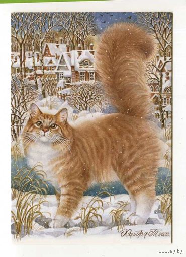 Открытка. Фауна. Животные. Кот. Коты. Котики. Кошечка Веснушка. Худ. Т.Хазова (чистая)