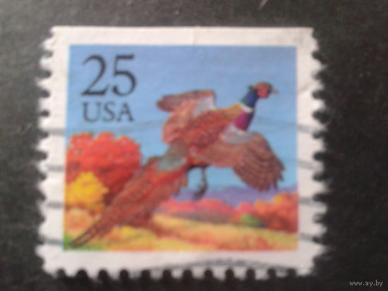США 1988 стандарт, птица