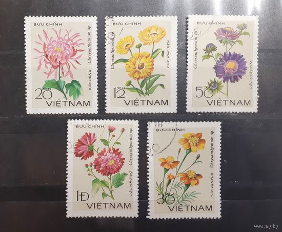 Вьетнам. Флора. Цветы (257)