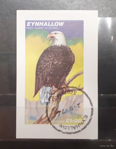 Эйнхаллоу. Шотландия. 1976 год. Фауна. Птицы. Орлы. Блок беззубцовка (452)