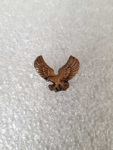 Фрачник ПВ Беларусь