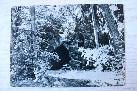 Прибалтика, Литовская ССР, Паланга; 1965, чистая.