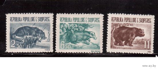 Албания-1961,(Мих.627-629)  ** , (20 % каталога), Фауна, Медведь, (кат.=30 е)