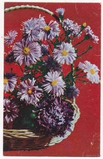 Открытка 1971 (275)