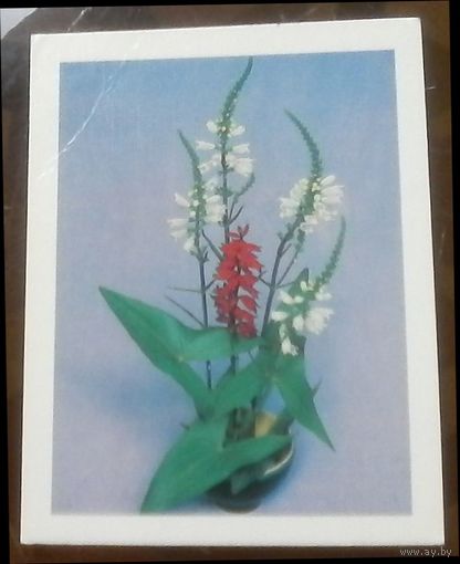 1982 год Е.Артёмов
