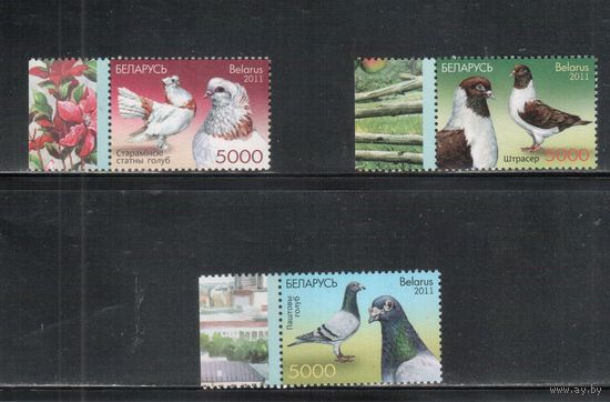Беларусь-2011,(Мих.880-882)  **  , Фауна, Голуби