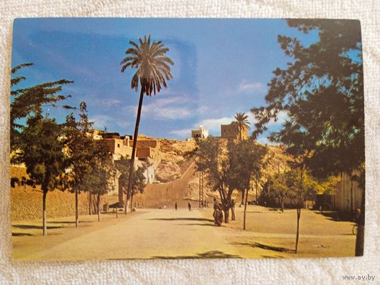 Алжир, Лагуат