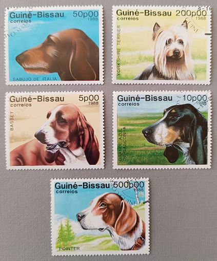 Собаки. Гвинея-Биссау,1988