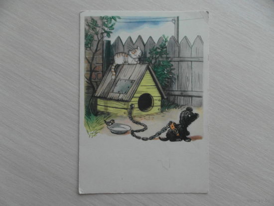 Открытка. Верный сторож. СССР. Худ.Сутеев В. Г. 1964 г. Чистая.
