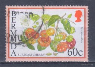 [905] Бермуды 1995. Флора.Фрукты.Плоды.Суринамская вишня. Гашеная марка.