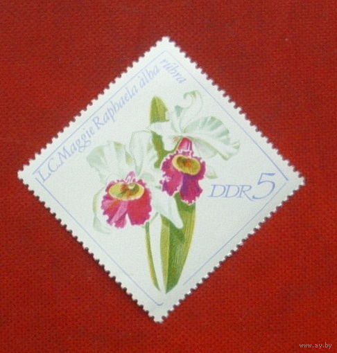 ГДР. Цветы. ( 1 марка ). 7-1.