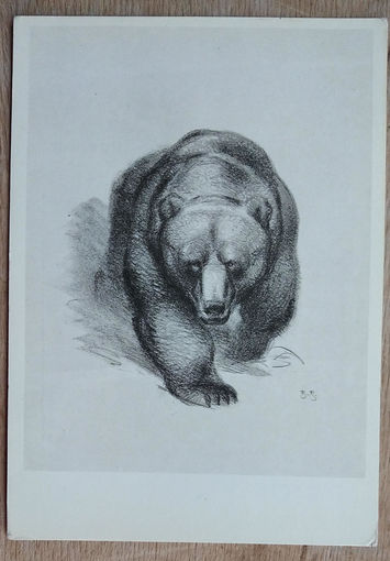 Ватагин В. Медведь. 1978 г. Чистая.