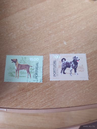 Марки Португалии, собаки.