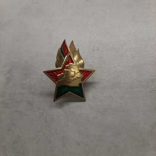 Членский знак Октябренок Беларусь