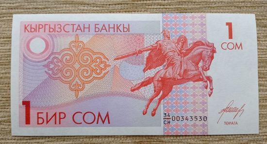 Werty71 Киргизия Кыргизстан 1 сом 1993 UNC банкнота