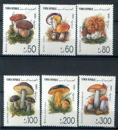 Йемен - 1991г. - грибы - 6 марок - MNH. #O-W-92-F-1