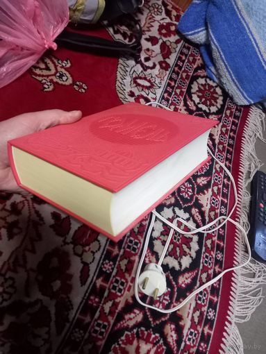 Назад в СССР Радиоточка громкоговоритель сувенирная "Книга Гомель"