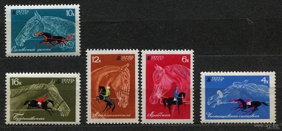 Коневодство и конный спорт. 1968. Полная серия 5 марок. Чистые