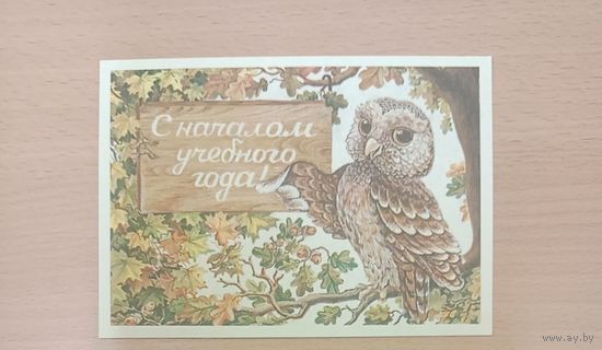 Открытка СССР.Чистая.Похитонова