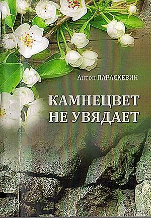 Камнецвет не увядает. Параскевин А. 2017