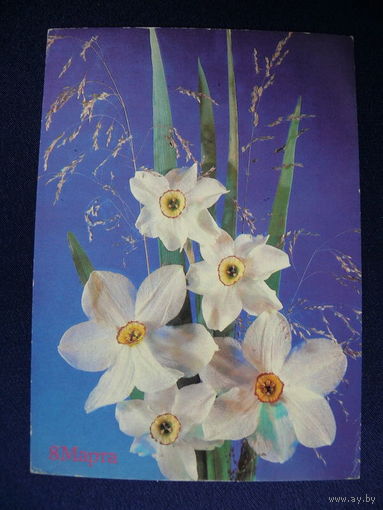 Дергилева И., 8 марта; 1989, 1990, подписана.