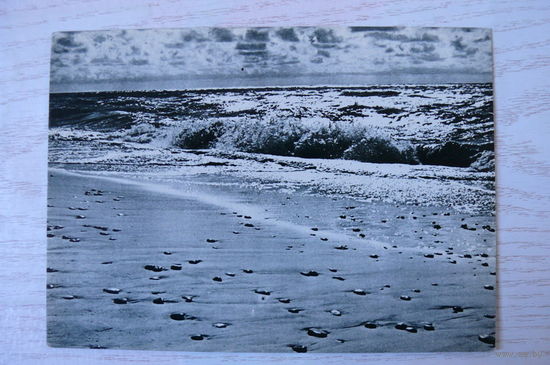 Прибалтика, Литовская ССР, Паланга; 1965, чистая.