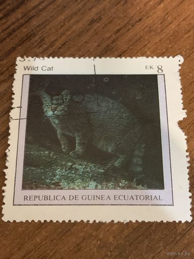 Гвинея экваториальная 1976. Домашние кошки. Дикая кошка. Марка из серии