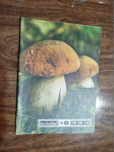 Юный натуралист 1977, вып. 8