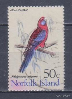 [823] Норфолк 1970. Фауна.Птицы.Попугай.50с. Гашеная марка.