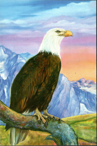 Почтовая карточка "Белоголовый орлан"