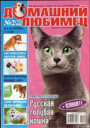 Домашний любимец #72