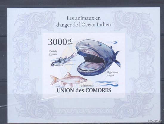 [1084] Коморы 2010. Фауна.Рыбы. БЛОК MNH