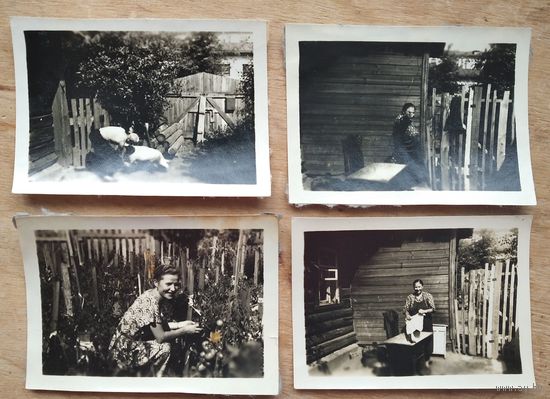 Фото из СССР. Сцены из сельского быта. 4 фото. 6х9 см. Цена за все