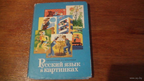 Русский язык в картинках.