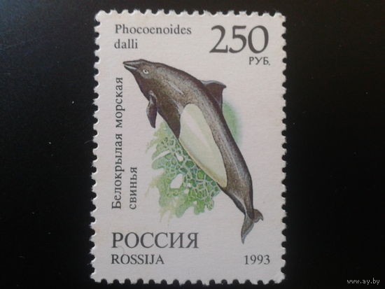 Россия 1993 морская свинья**
