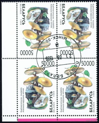 Грибы Беларусь 1999 год (342) квартблок