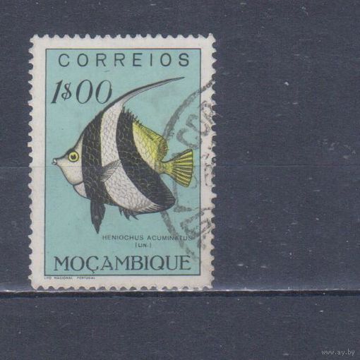 [2219] Португальский Мозамбик 1951. Фауна.Рыба.1 э. Гашеная марка.