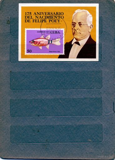 КУБА, 1974,   почт. блок   гашен