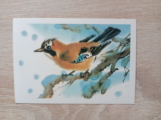 Каневский 1985 мини