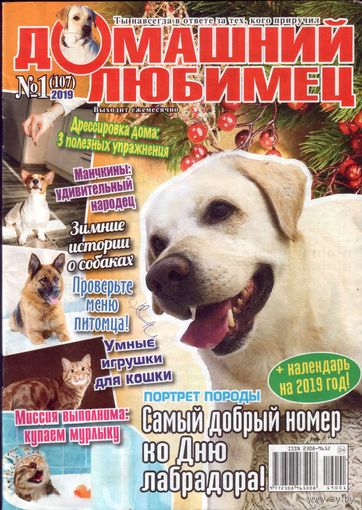 Домашний лю бимец #107