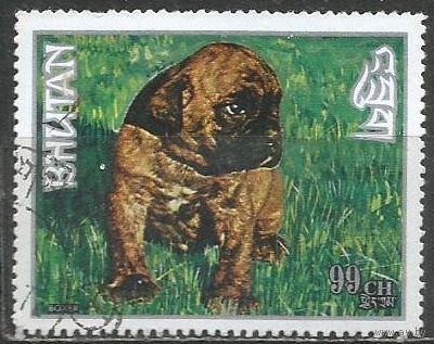 Бутан. Собаки. Боксёр. 1973г. Mi#541.