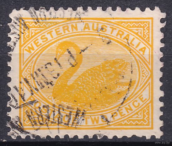 163.Aust. Великобритания. Австралийские штаты. Западная Австралия. Чёрный лебедь. Стандарт. 1905 г. 2p. Mi.#63A.