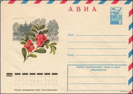 Художественный маркированный конверт СССР N 12687 (23.02.1978) АВИА  Брусника