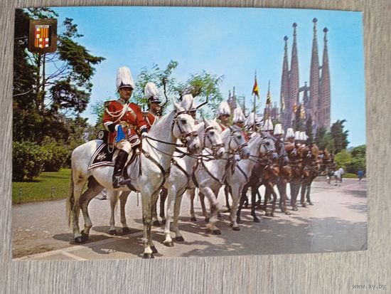Этнография. Барселона. Конная полиция мэрии Барселоны